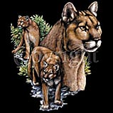 Custom Heat Transfer - Cougar Collage 12x13-