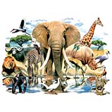 Custom Heat Transfer - African Oasis 6x8-