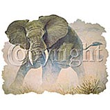 Custom Heat Transfer - Elephant 12 10x13-