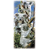 Custom Heat Transfer - Koala Bears - Zoo Stripes 6x14-
