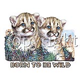 Custom Heat Transfer - Born To Be Wild 10x12-