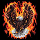 Custom Heat Transfer - EAgle W/ Flames 12.5x14.5