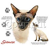 Custom Heat Transfer - Siamese Cat 12x14