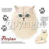 Custom Heat Transfer - Persian Cat 12x14