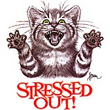Custom Heat Transfer - Stressed Out Cat 13x14