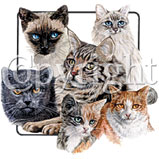 Custom Heat Transfer - Cat Collage 10x11