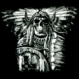 Custom Heat Transfer - Indian Skull 15x19
