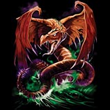 Custom Heat Transfer - Great Wyrm Dragon 15x15