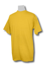 GOLD Pro Club Short Sleeve Heavyweight T-Shirt